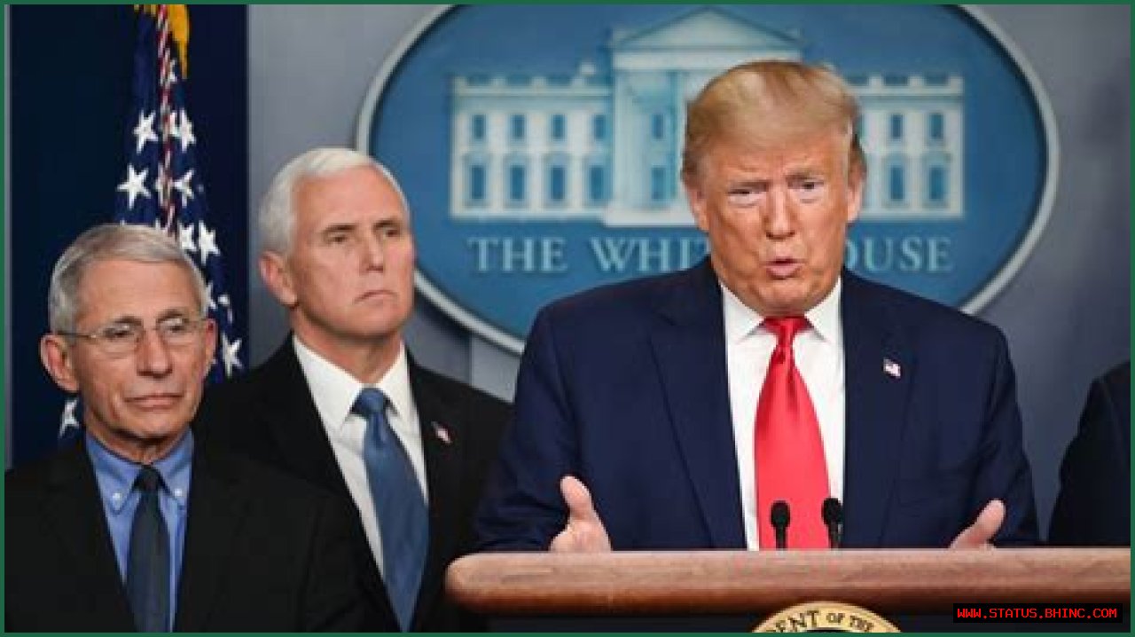 Donald Trump Is Slammed For Promoting Unproven Cocktail Of Drugs — Hydroxychloroquine And Azithromycin — As Cure For The Coronavirus; Top Infectious Disease Expert Reacts